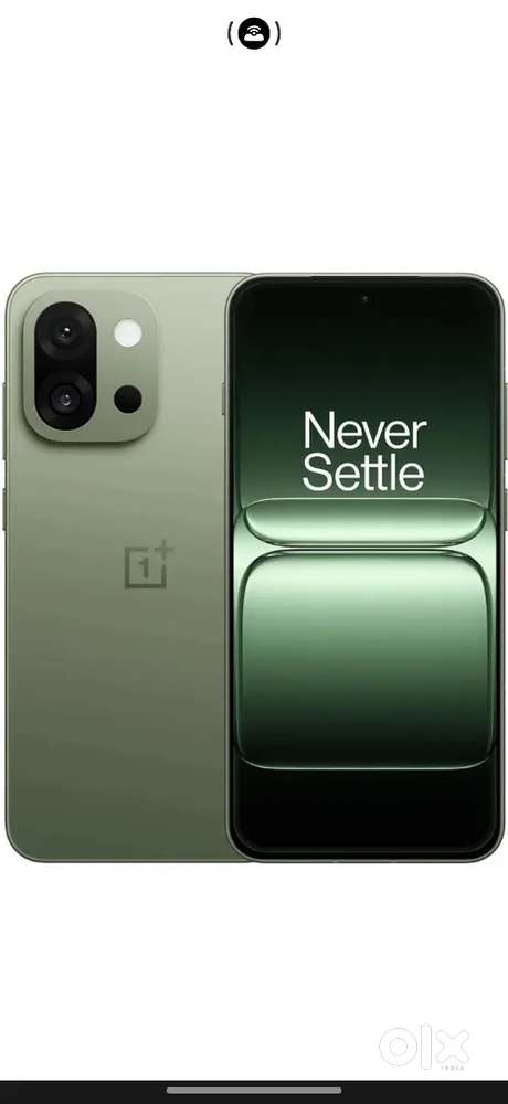 One plus 13s 12+12/256