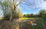 1 BIGHA LAND FOR SALE NEAR KOKRAJHAR MEDICAL COLLEGE RANGALIKHATA