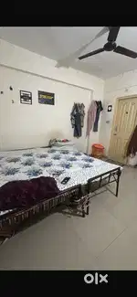 Need a roommate