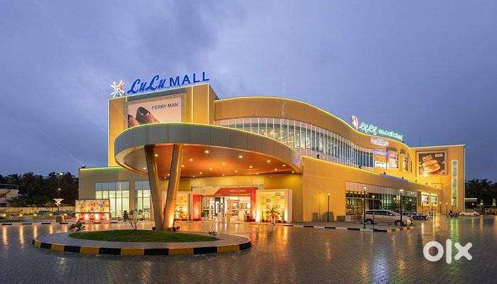 PARKING ASSISTANT LULU