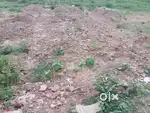 Koteswar mandir ke samne