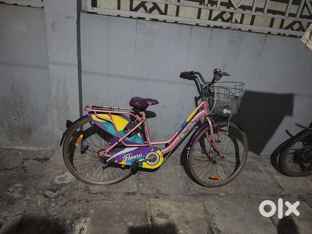 Ladybird cycle
