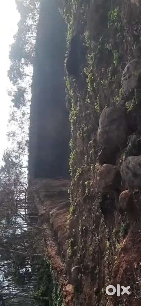 Plot for sale  145 cent