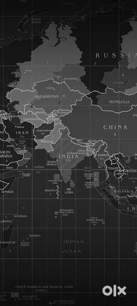 Maths and science tutor