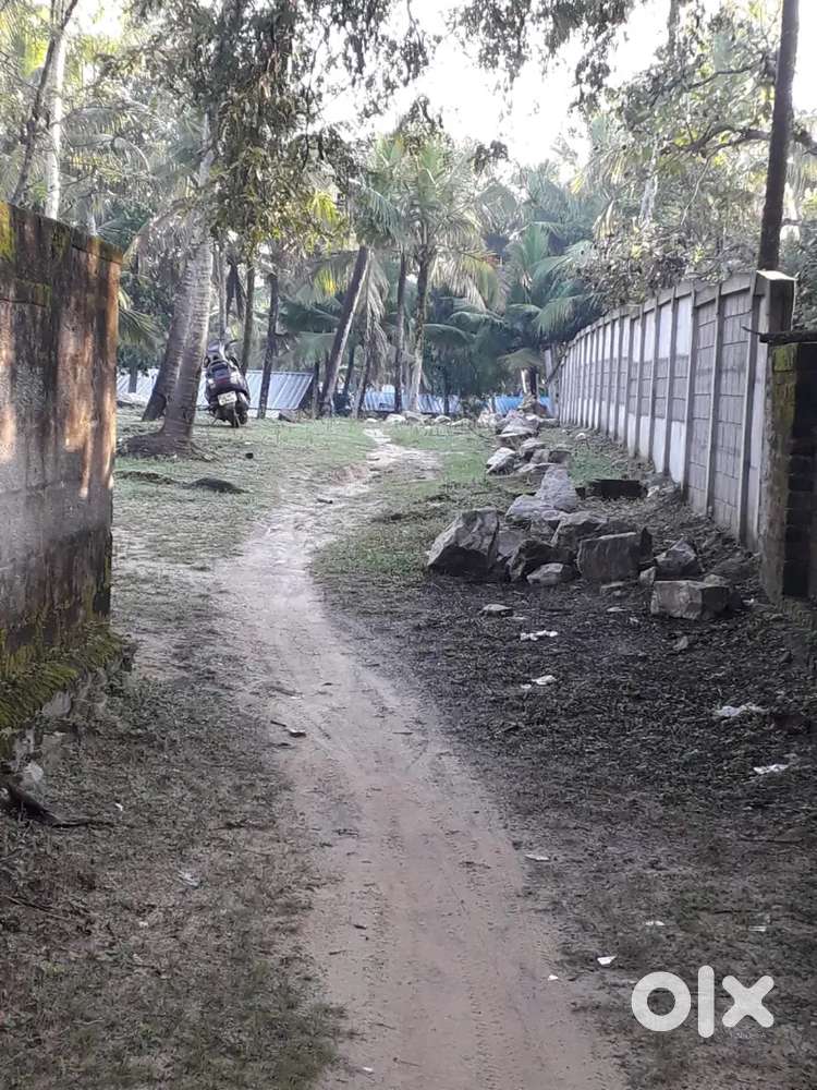 THREE ACRES LAND FOR SALE NEAR TECHNOPARK (4KM) 4 LAKHS/CENT)