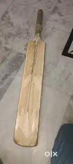 Bat kashmir Willow