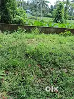 Plot in cheeranchira