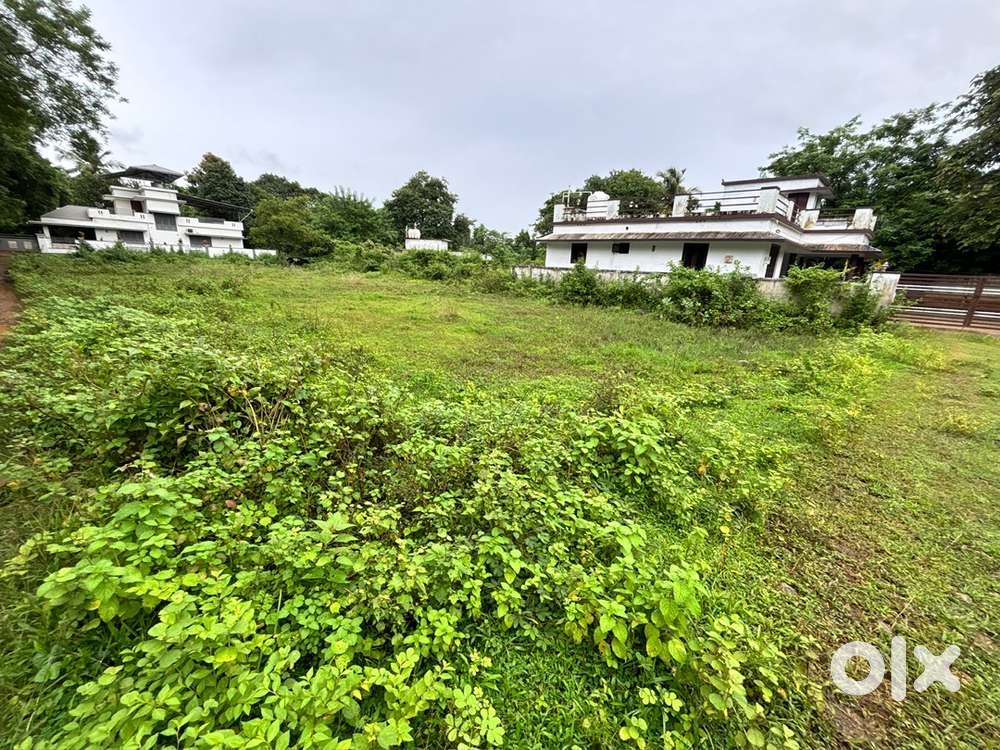 3 kms from Lulu Mall palakkad