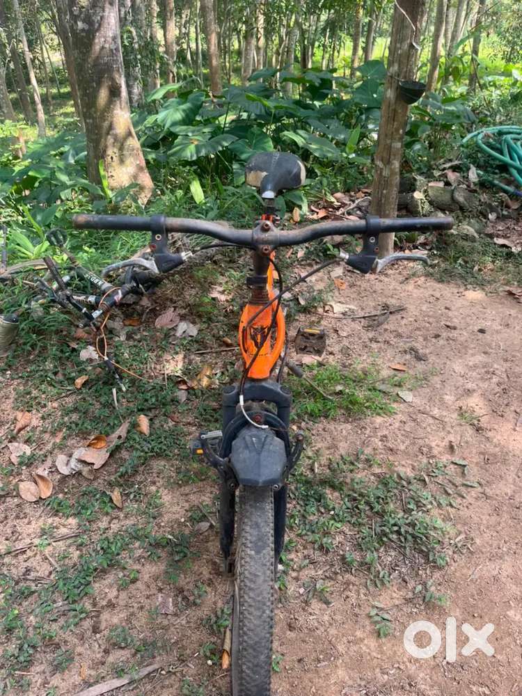 Normal cycle black and orange colour