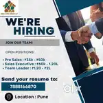 Sales executive ( real estate )