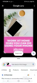 Work from home opportunity only for girls and women
