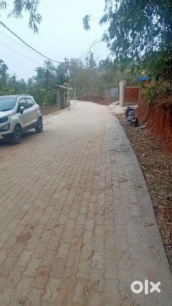 Sell 4 kotha ekshoniya land at Goshala kalapani