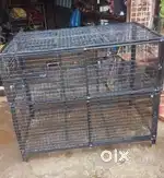 Chicken Net