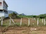 Site for sale near kothur lankallapalem
