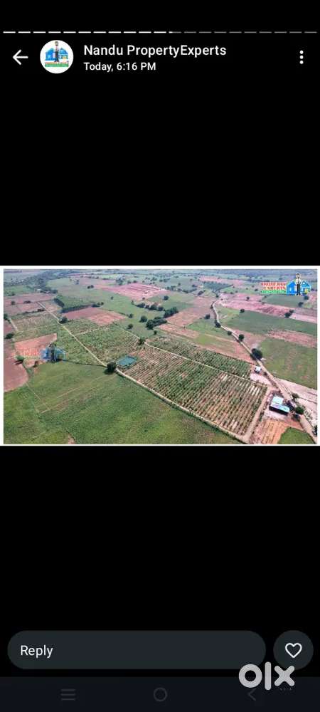 Mi pillala bhavishyattuku nandi palakandi