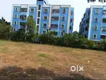 Spacious 2 bhk Flat for rent in Hanspal