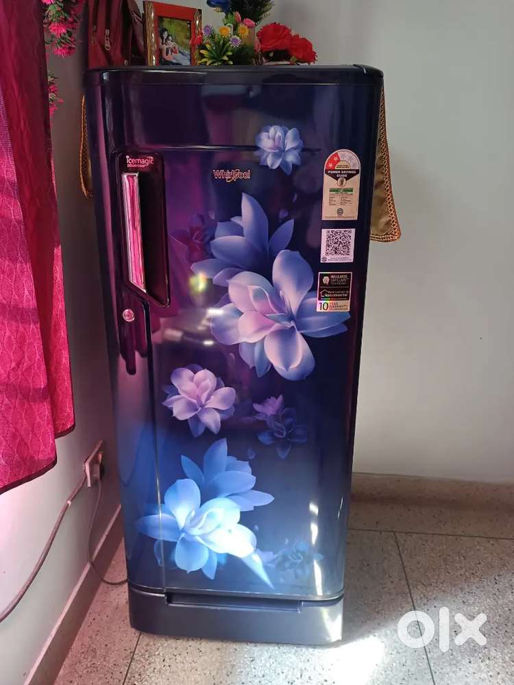 New fridge