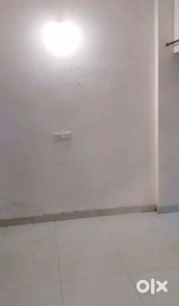 1BHK flat for rent in palasia