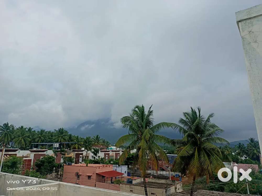 need female roommate for sharing rental house