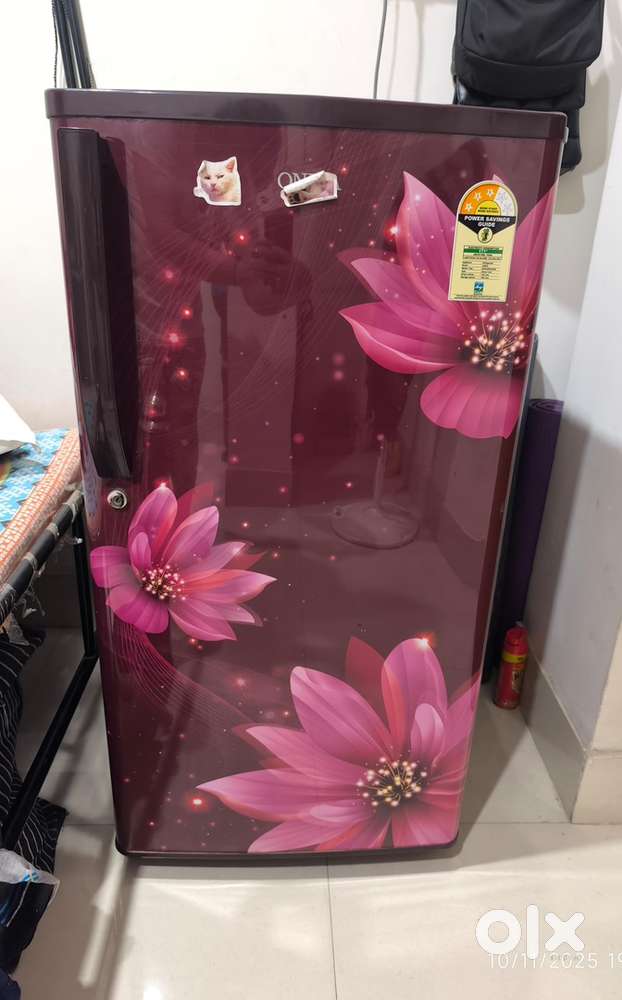 Fridge is in very good condition