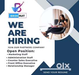 Business development executive