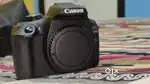 Six Month Canon Dslr Camera