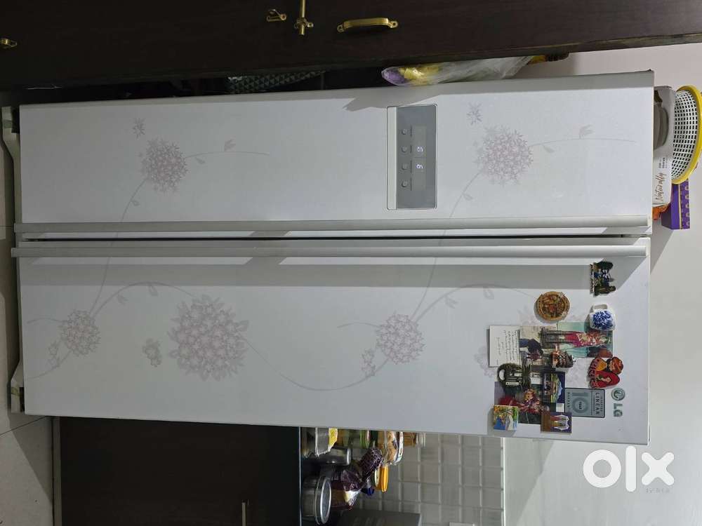 LG Double Door Fridge