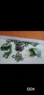 તોરણ નો સેટ