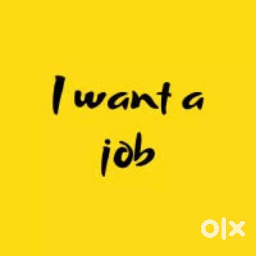 I need Driver job