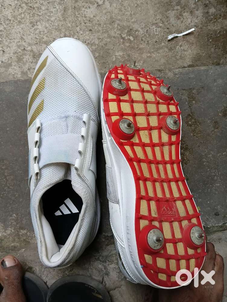Cricket batting spikes