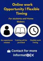 Flexible online work from anywhere