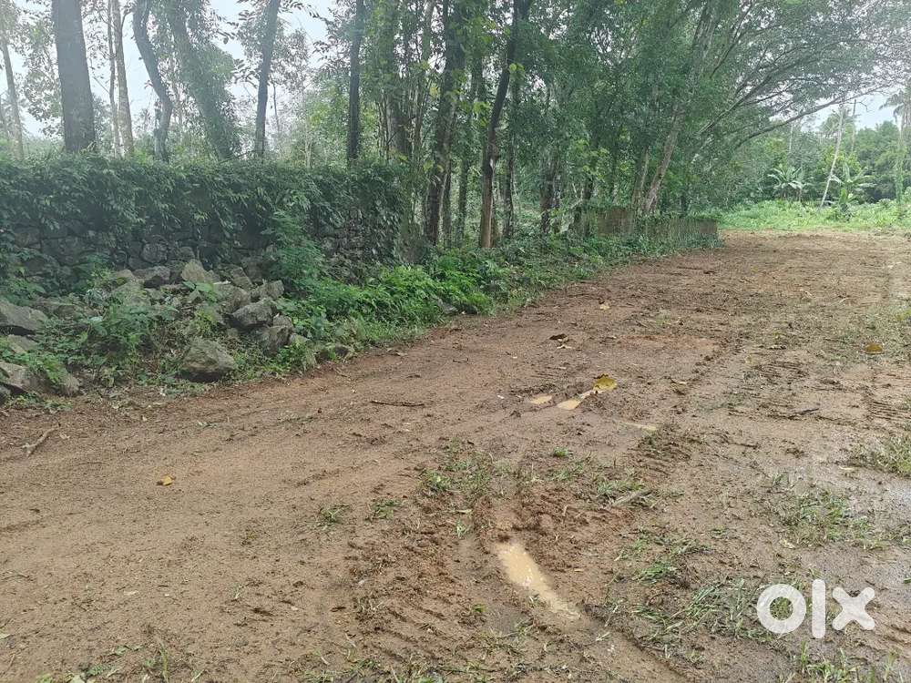 Silver Spring Villas _ Thrikkalathoor House Plot.