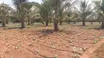 Site or farm land