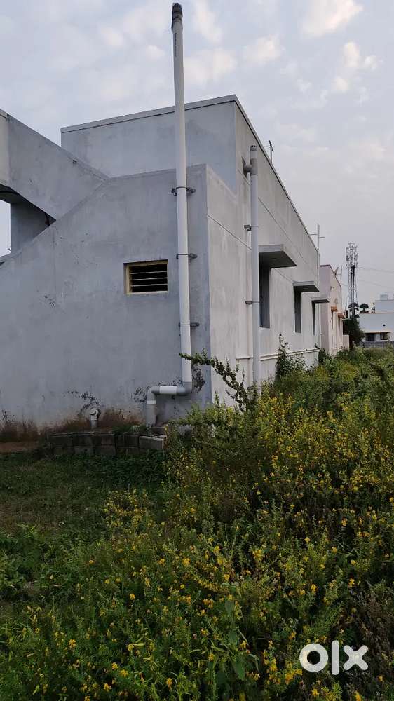 Individual house