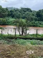 3.5 Acre ready farm for sell river touch