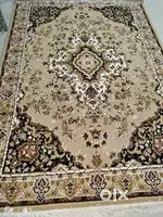 Galicha Carpet and Plastic Chair