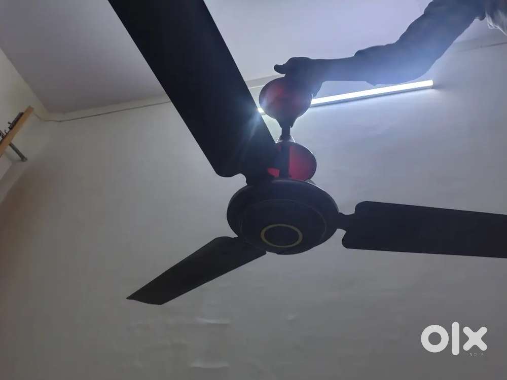 Fan with 1 years warranty