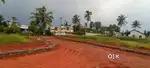 ANGAMALY THURAVOOR JUNCTION NEAR BY 500 MEATER