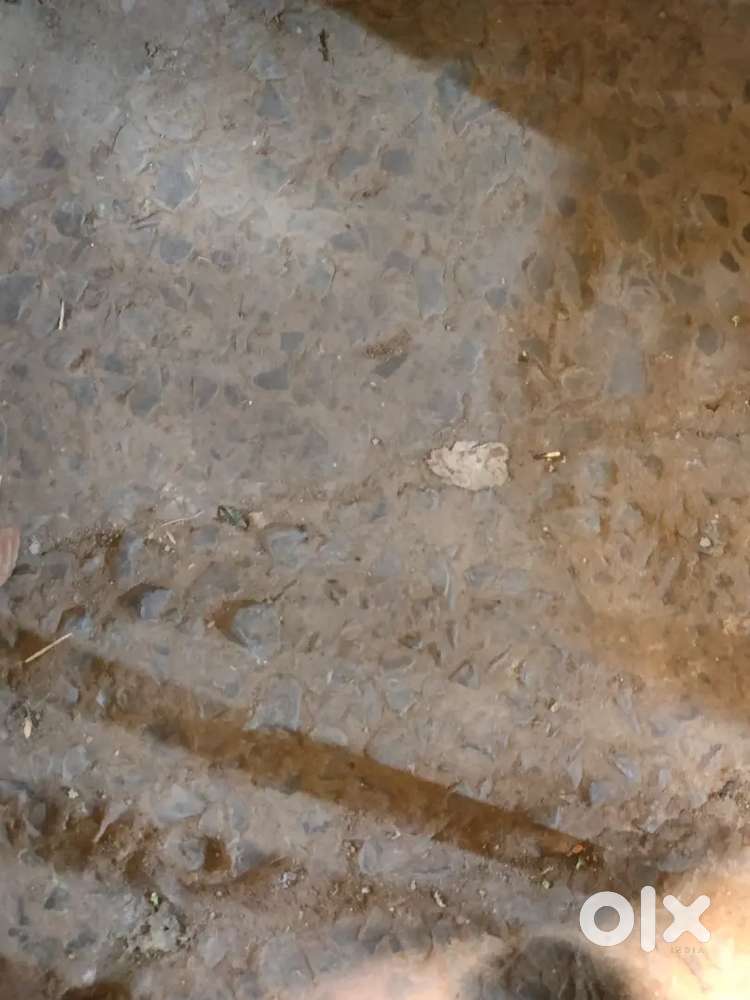 Dharampura me 2400sqft janral diverted plot for sale