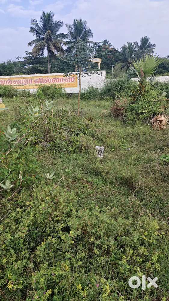 Plot of sale in Kovilpalayam Pollachi - On road Property