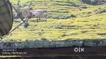 Cook ki need hai suddhowala mai dehradun