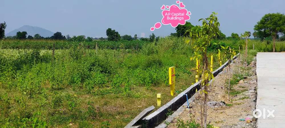 కంతేరు లో CRDA అప్రూవ్డ్ ప్లాట్స్ కలవు గజం ధర 23,000/-మాత్రమే