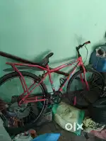 The conditions of the cycle 1years ago
