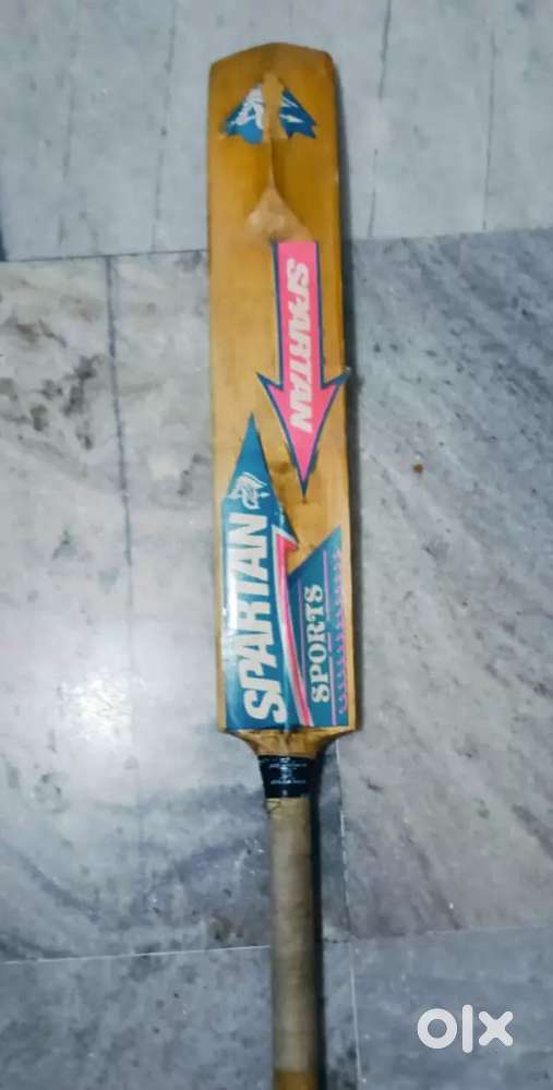 Cricket bat