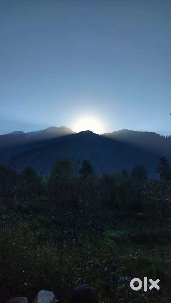 Female staff for backend operations