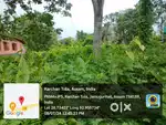 2 Bigha ( 10 Katha ) Land for sale in Tezpur