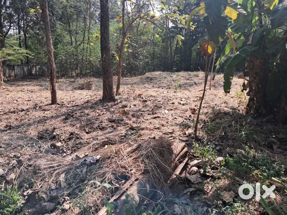 Prime land fit for homely and friendly stay