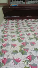 Double cot with bed