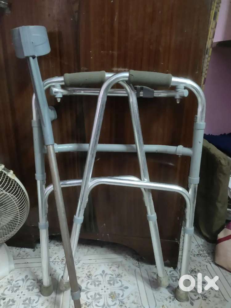 Walking stick
