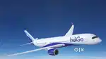 IndiGo Airlines Ground Staff Cargo Handler Vacancy at Airport Jobs